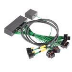 Boomslang Plug and Play Harness Kit for Link G4-2