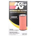 K and N Oil Filter (HP-7010)-4