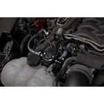 KN 18-23 Ford Mustang GT 5.0L V8 (Gas) Catch Ca-2