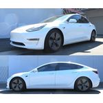 RS-R Down SUS Lowering Springs for 2017+ Tesla M-2