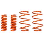 aFe Control Lowering Springs (410-402002-N)-2