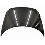 VIS Racing OEM Style Black Carbon Fiber Hood-2