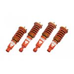 Ark Performance DT-P Coilovers (CD0102-9401)-2