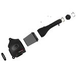 aFe Momentum GT Cold Air Intake System w/ Pro DR-2