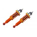 Ark Performance DT-P Coilovers (CD0104-0105)-4