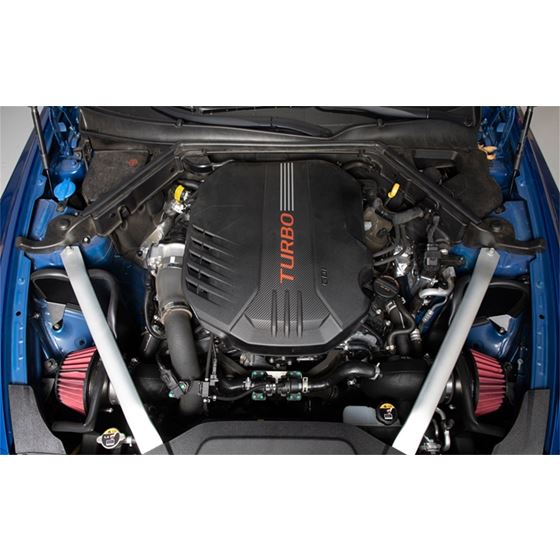 AEM Cold Air Intake System (21-849DS)