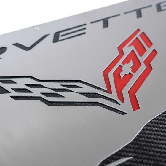 Fabspeed Carbon Fiber Wall Art - Corvette C8 St-2