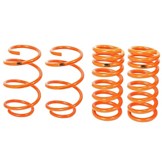 aFe Control Lowering Springs (410-301002-N)-2