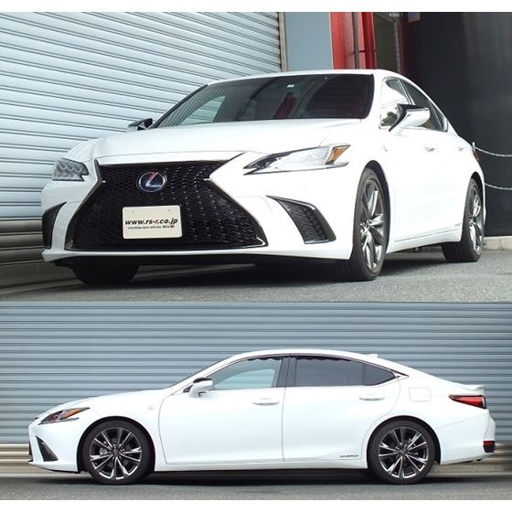 RS-R Down Sus Springs for 2019-2021 Lexus ES300H-4