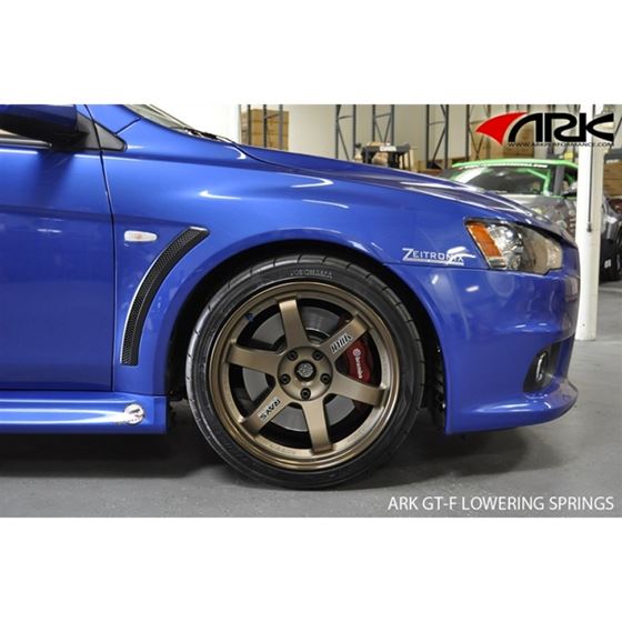 Ark Performance GT-F Lowering Springs for Mitubi-4