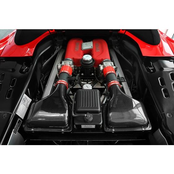 Fabspeed Ferrari 360 Carbon Fiber Airbox Covers-2