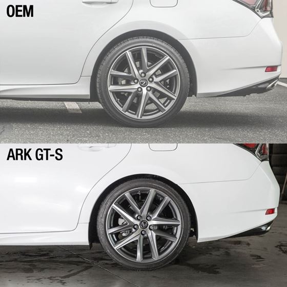 Ark Performance GT-S Lowering Springs for Lexus-2