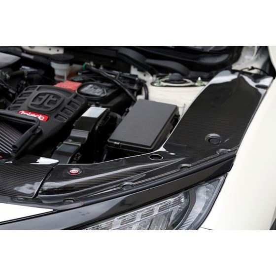 APR Performance Carbon Fiber Cooling Plate Kit  (CF-917022)