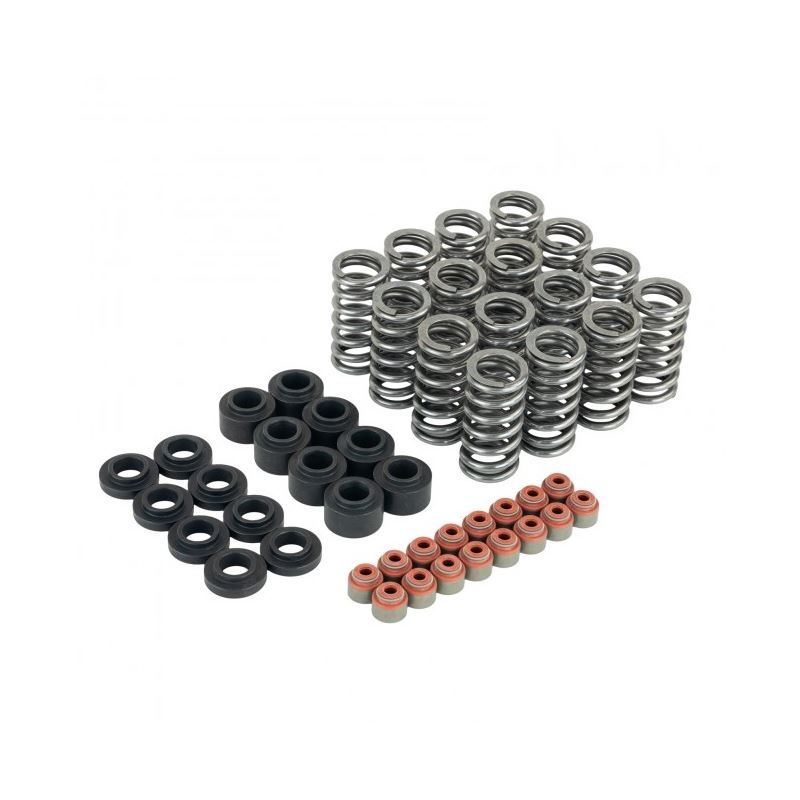 Skunk2 Honda L15B7 Ultra Valve Springs and Spring