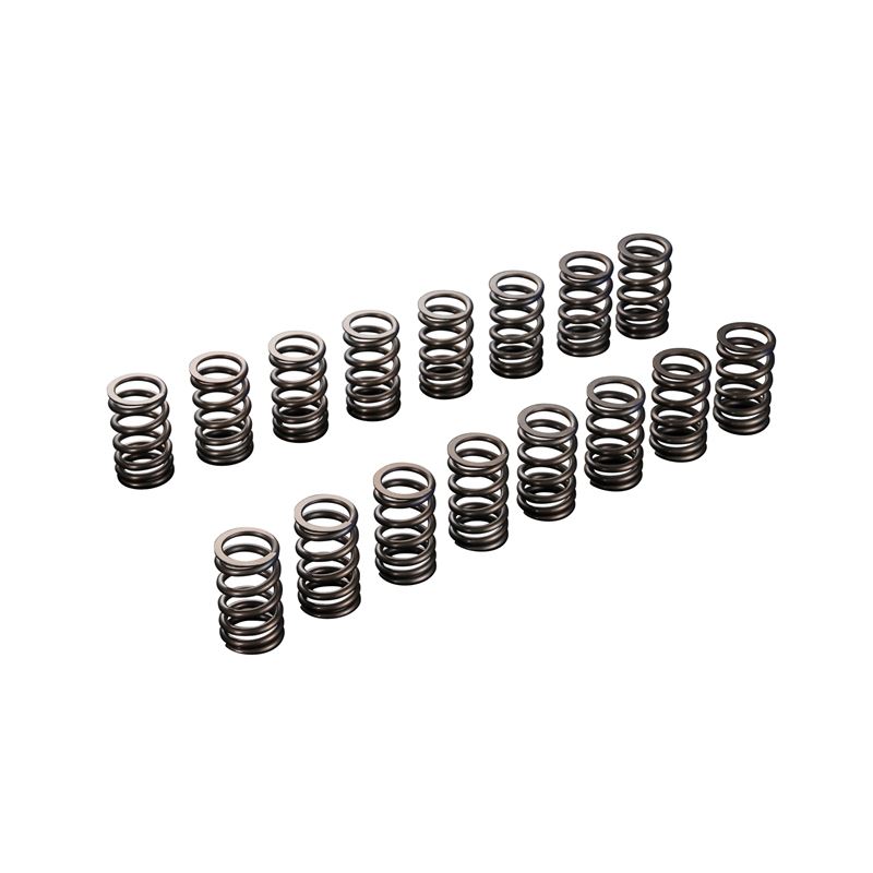 VALVE SPRING SET EJ205/EJ207/EJ255/EJ257 (TA304A-S