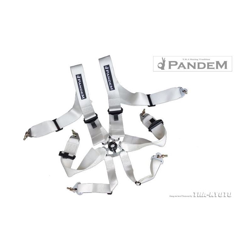 Pandem Safety Harness 6-Pt, White