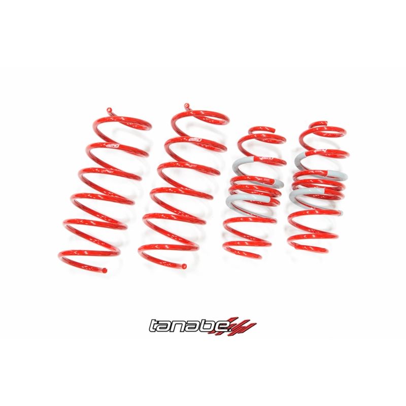 Tanabe DF210 Springs 09-14 Fit