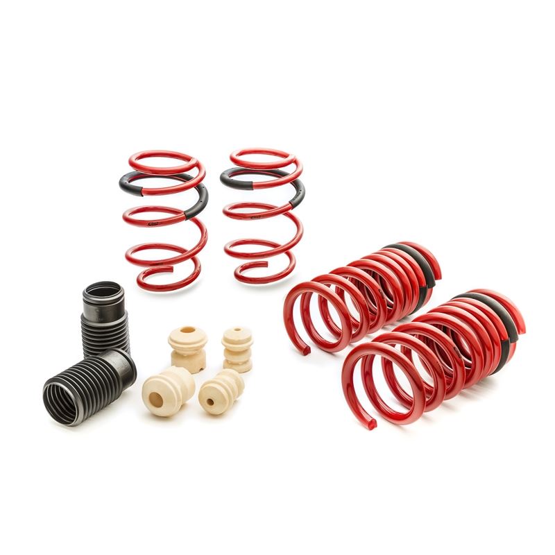 Eibach Sportline Kit for 2015 Mustang GT 5.0L V8 (